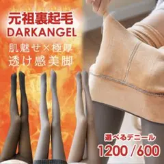 Dark Angel ブラックタイツ ハイウエスト600デニール