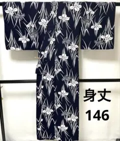 b141 綿　浴衣　花菖蒲　濃紺地　スモールサイズ　着物