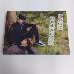 君には届かない。 DVD 未開封 Amazon.co.jp: 君には届かない。 DVD-BOX [DVD] : 前田拳太郎