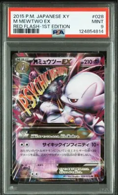 2025年最新】MEWTWO psa10の人気アイテム - メルカリ