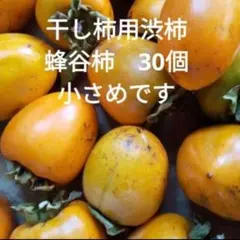 干し柿用渋柿　蜂屋柿　小さめ　30個