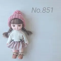 No.851 メルちゃん ソランちゃん 服 ハンドメイド