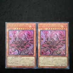 ブラックローズドラゴン／バスター 遊戯王 ヴァリュアブル - メルカリ