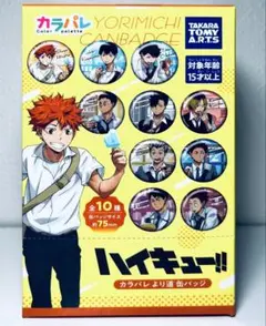値下げ！ハイキュー!! カラパレ より道 缶バッジ 【1BOX=10パック入り】