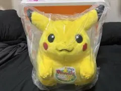 おかえりピカチュウ　ポケモン30周年記念