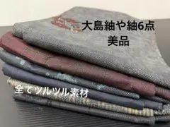 249)着物　袷　大島紬や紬　6点　全てツルツル素材　全て着用可能品　正絹