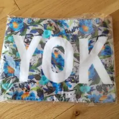 Item thumbnail for item 2cfe3385-9f0f-4851-a45b-b1bf2985bd1e