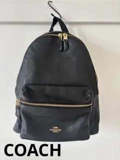 ✨️美品✨️コーチ リュック チャーリー レザー シボ革 A4 黒 ブラック COACH コーチ レザー バックパック リュック 本革 ブラック 黒