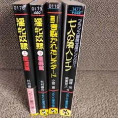 フランス書院 文学・小説