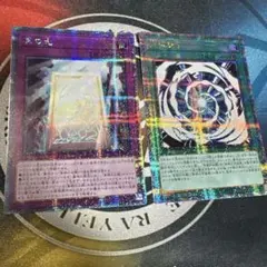 真の光　究極融合　25th