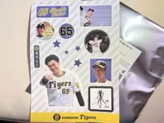 阪神タイガース 湯浅京己 シークレットステッカー