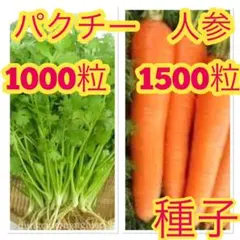 nayu様 リクエスト 3点 まとめ商品