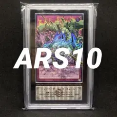 遊戯王 海馬トークン QCDB JPT04 ARS10 スーパーレア - メルカリ