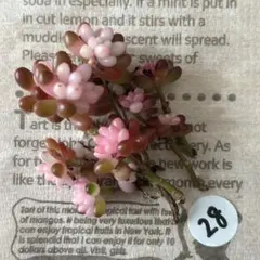 NAO様 リクエスト 2点 まとめ商品