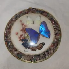 モルフォ蝶 天然石 ブルーモルフォ ブラジル 壁飾り レリーフ オブジェ アート モルフォ蝶 天然石 ブルーモルフォ ブラジル 壁飾り レリーフ