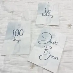 Item thumbnail for item fdb49b2e-822e-4376-807c-2e4d224e1245