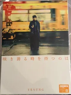 SUPER JUNIOR イェソン 咲き誇る時を待つのは 初回盤C 未開封トレカ