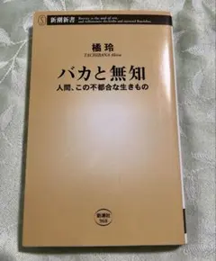 Item thumbnail for item 3df7ccc0-1190-4ec8-9aa4-3b35c46700c3