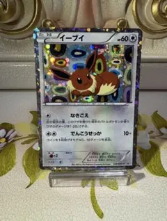 【美品】イーブイ Eevee 189/BW-P プロモ ホロ / ポケモンカード Eevee - 189/BW-P 189/BW-P BW-P Promotional cards Holo (Japanese