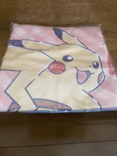 ポケモン　ブランケットのサムネイル
