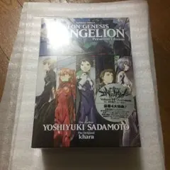 新世紀エヴァンゲリオン 14(プレミアム限定版)