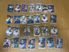 RIZIN ウエハースカード 27枚セット