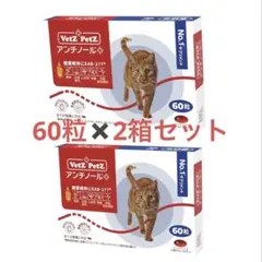 베츠 펫츠 안티놀 플러스 60정 x 2박스 세트