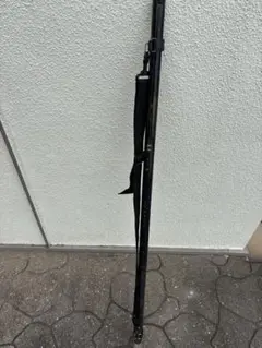 ダイワ Daiwa SS大島T 2号53E 中古 - メルカリ