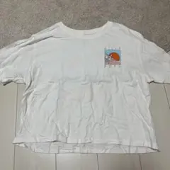 Item thumbnail for item 8013648a-033a-4eae-aa0c-64d7b147fb28