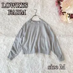 LOWRYS FARM／ドットチュール付きスウェットプルオーバー（M・グレー）