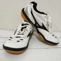 MIZUNO WAVE FANG バドミントンシューズ22.5cmのサムネイル