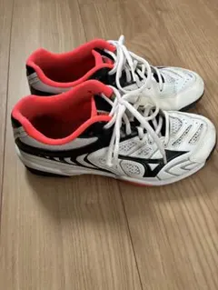 Item thumbnail for item 9a5db30b-1b46-4b49-99fd-914d1f5c0a19