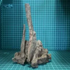 小流木 水槽用流木 アクアリウム　k541