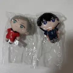 ハイキュー　かぷっこふれんず　影山飛雄　灰羽リエーフ