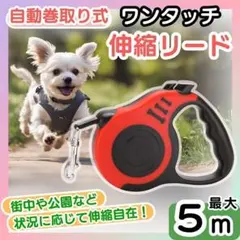 Item thumbnail for item f63b5777-d65a-4d23-b43b-ff7b8f13978f