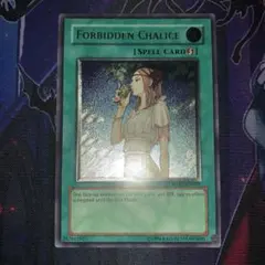 2025年最新】英語 禁じられた聖杯の人気アイテム - メルカリ