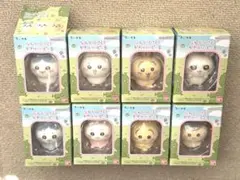 ちいかわ なんか小さくてかわいいどーる コンプリートセット