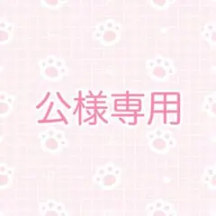 ✧公様専用ページ✧