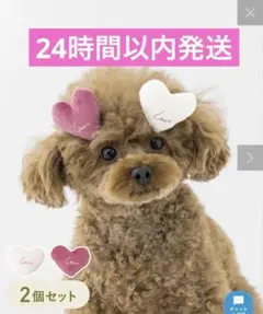 Item thumbnail for item 2213fef4-5374-4af5-9bef-dfe390198dd8