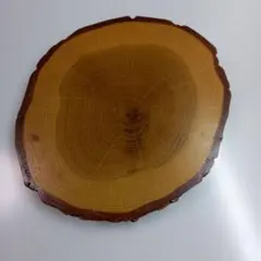 Item thumbnail for item 91a113f5-7439-4548-af14-8e8f7d5d53fa