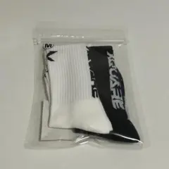 2025 INI LIVE XQUARE ソックス Mサイズのサムネイル