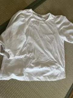 any FAM 五分袖トップス、春、夏、秋カットソー