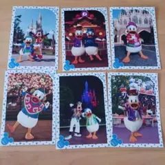 ドナルド スペシャルフォト原版6枚セット スペフォ