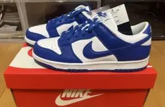Nike Dunk Low SP Kentucky ダンク ケンタッキーのサムネイル