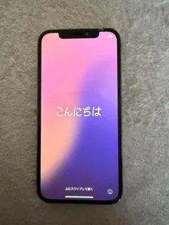 美品 95% iPhone 12 Pro 256GB グラファイト ケース付き