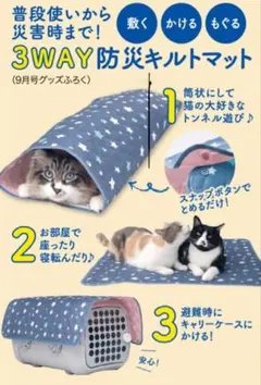 U様 リクエスト 2点 まとめ商品