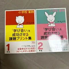 Item thumbnail for item 49e591ca-2724-43fb-bd03-bdafeb7d2f9f