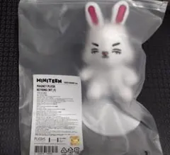 miniteenエスクプス