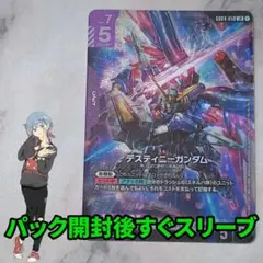 デスティニーガンダム LR GD04-050 - メルカリ