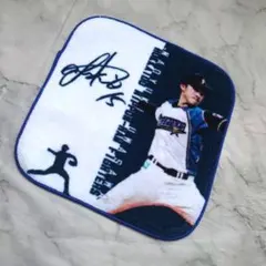 上沢直之　北海道日本ハムファイターズ サイン入り色紙 Yahoo!オークション - 日本ハムファイターズ 上沢直之投手 直筆
